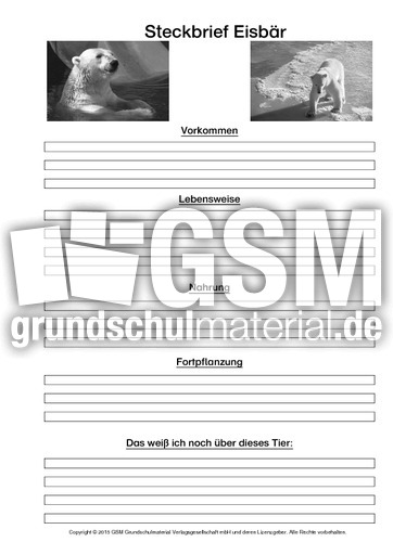 Eisbär-Steckbriefvorlage-sw-3.pdf